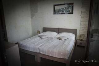 Гостевой дом Pensiunea Vlahia Inn Мойечу-де-Сус Стандартный двухместный номер с 1 кроватью или 2 отдельными кроватями-4